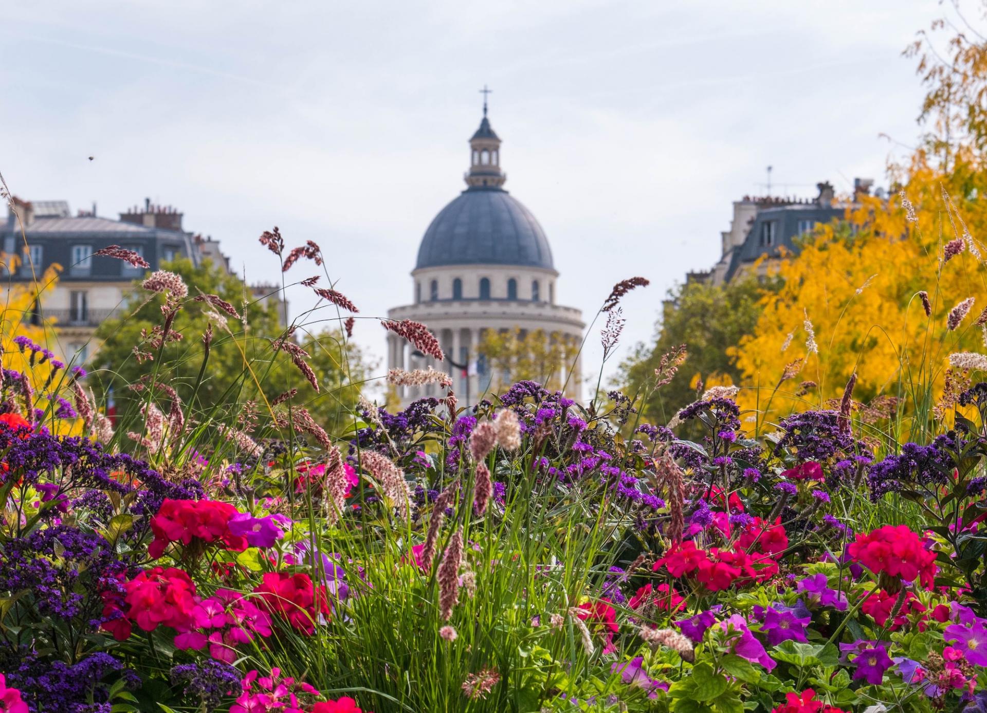 Printemps  au Jardin du Luxembourg : promeneurs, fleurs et moments de vie à deux pas de l’Hôtel Albe Saint-Michel